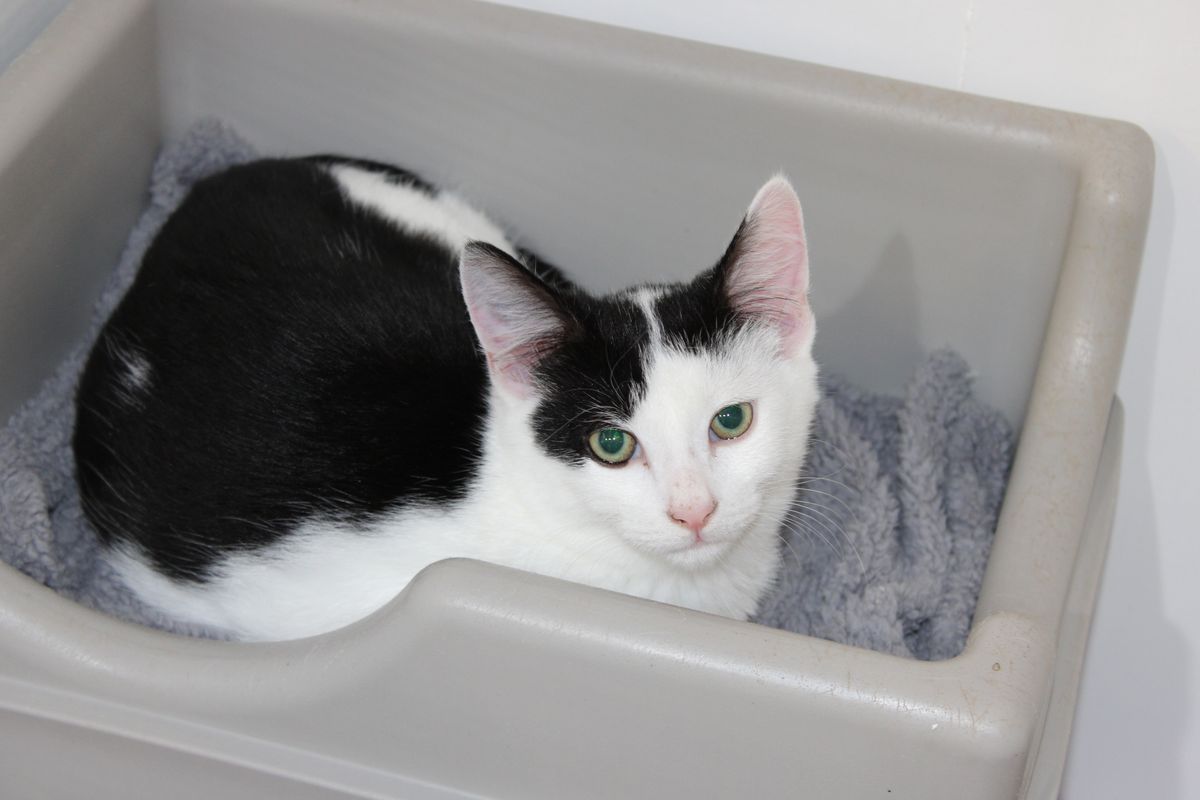 Gallery image: Murphy