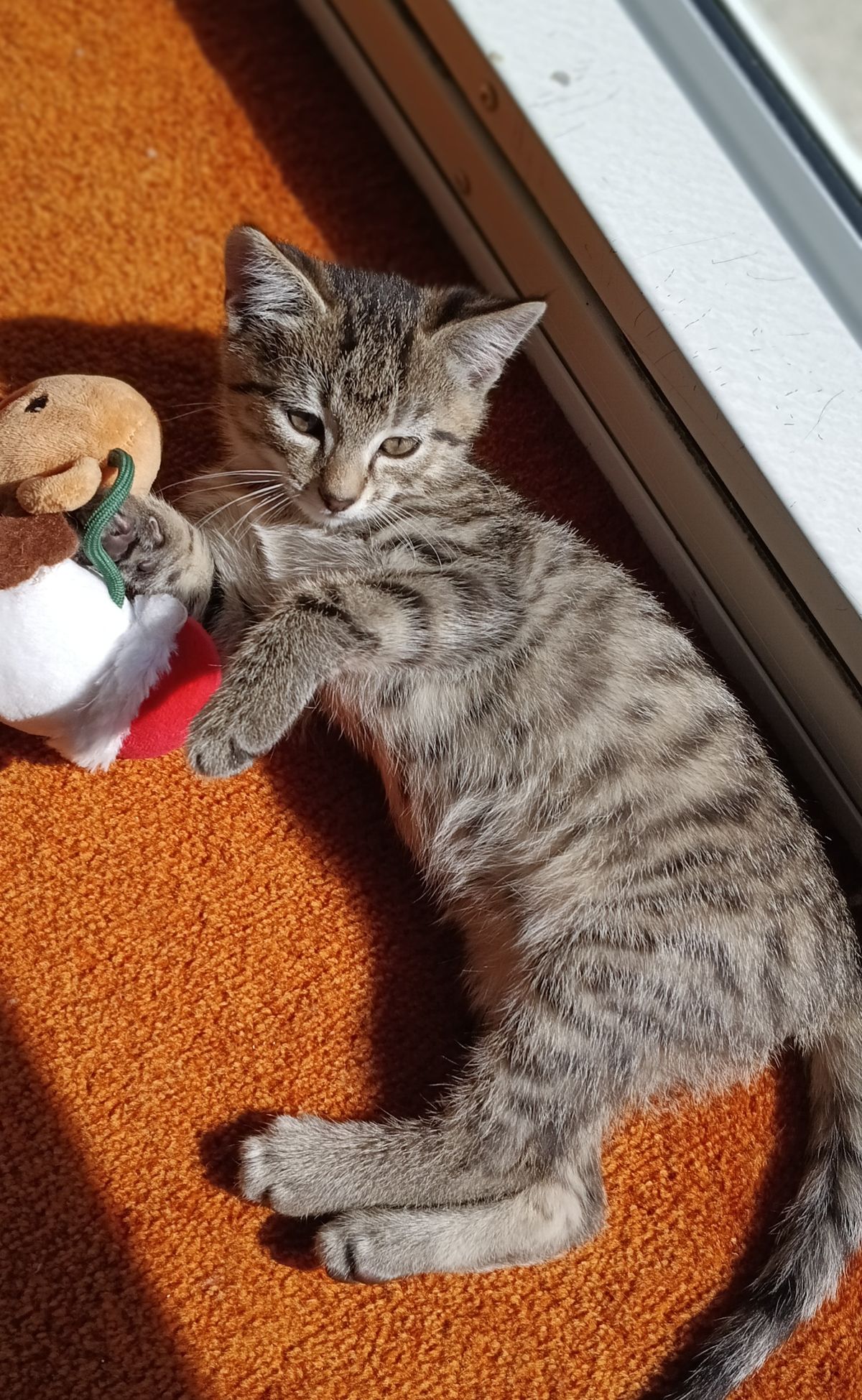 Gallery image: Ricky