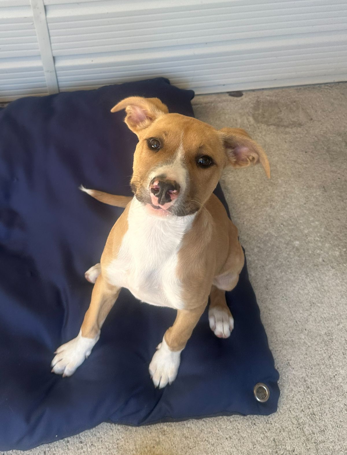 Gallery image: Sandy