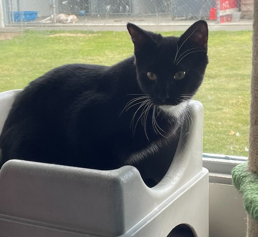 Gallery image: Crackers