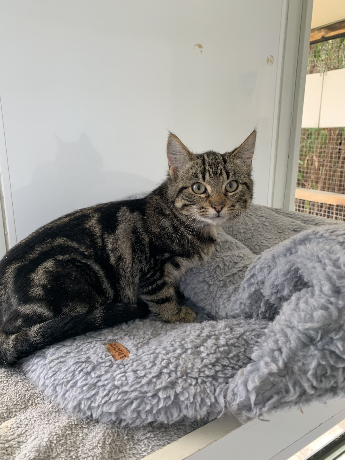 Gallery image: Asher