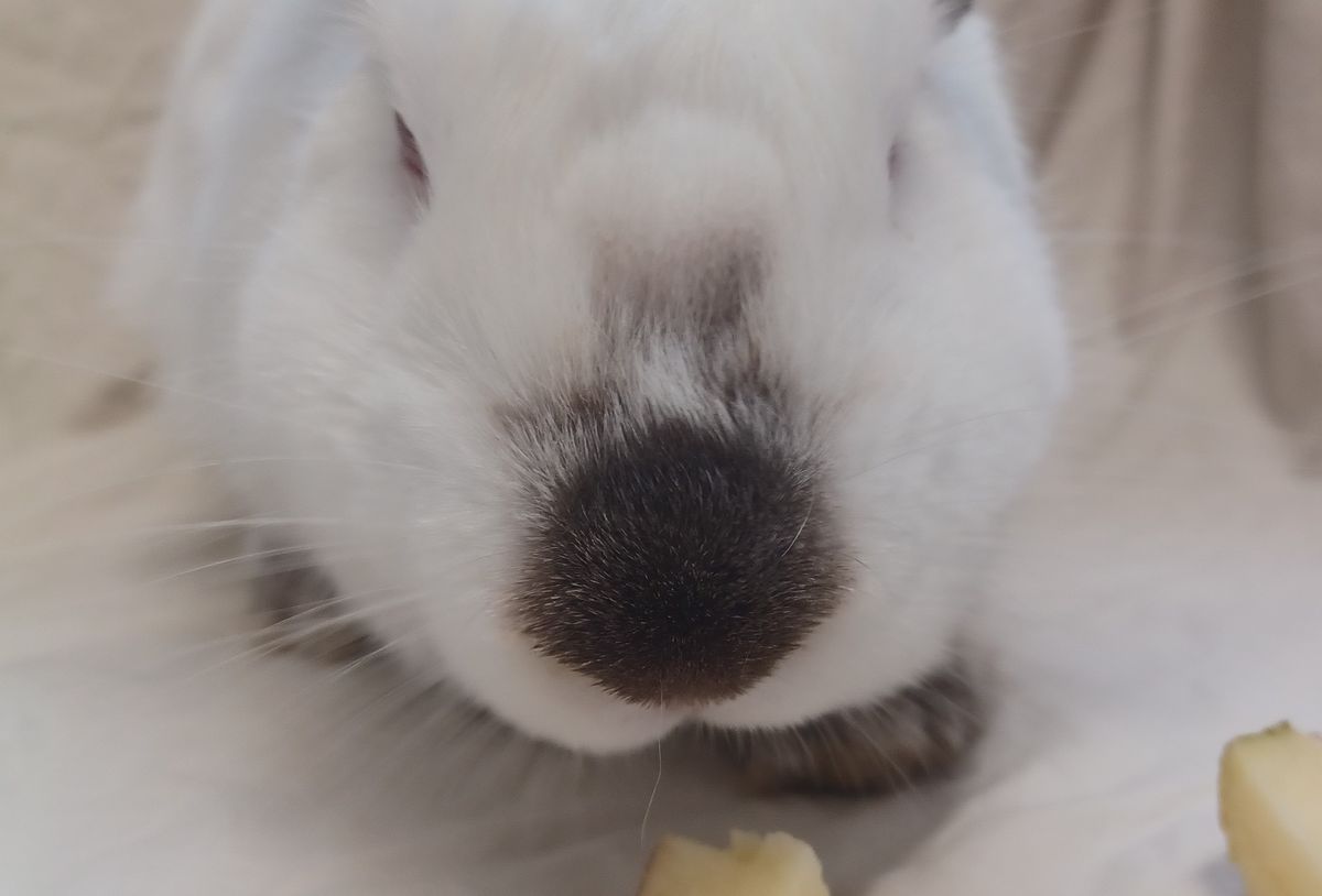 Gallery image: Carlos