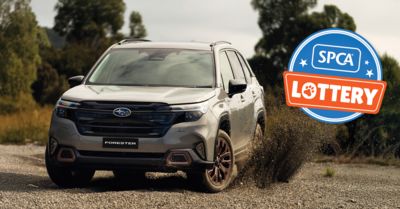 SPCA launches first-ever national lottery to help sick, injured and vulnerable animals 