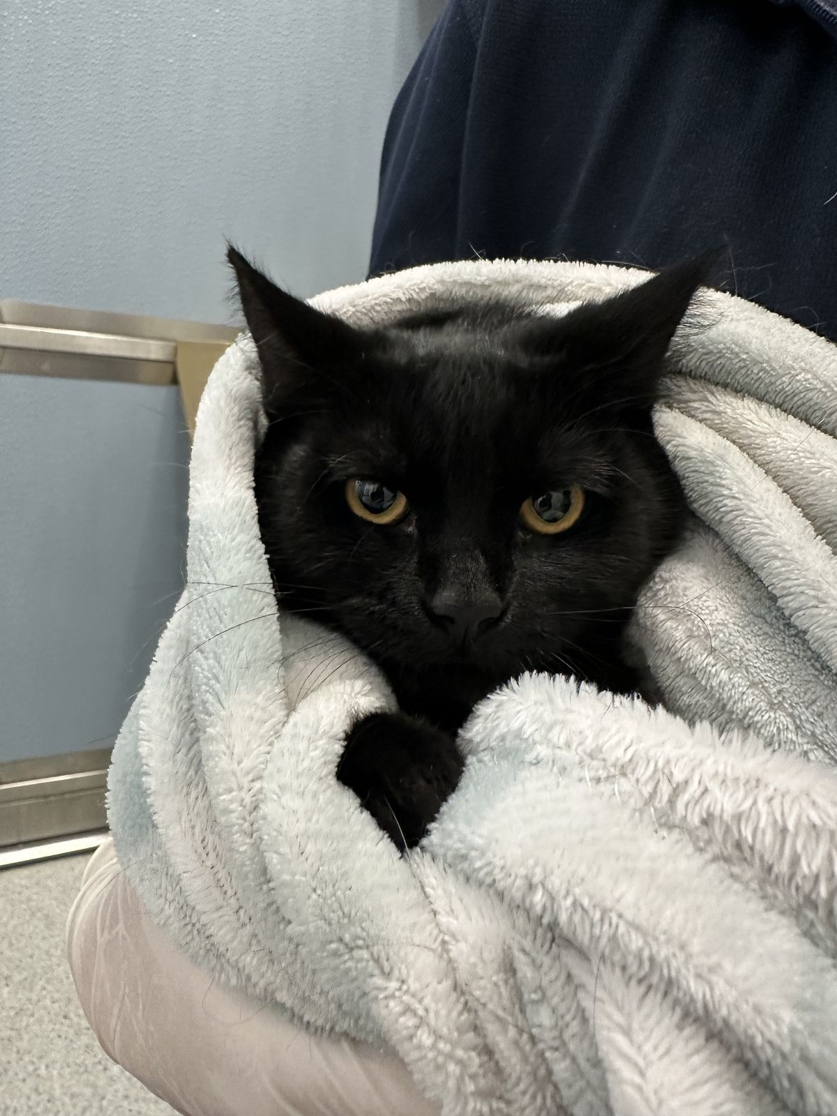 Gallery image: Tilly 