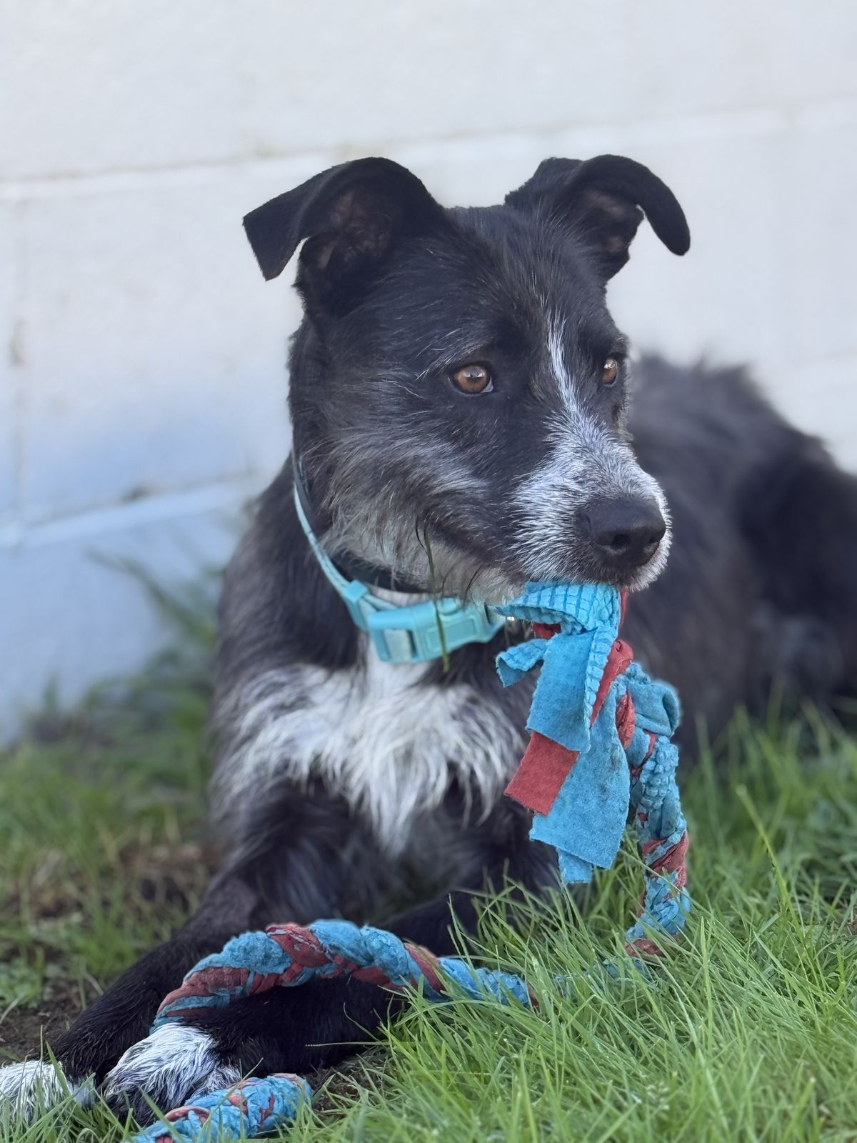 Gallery image: Kylie