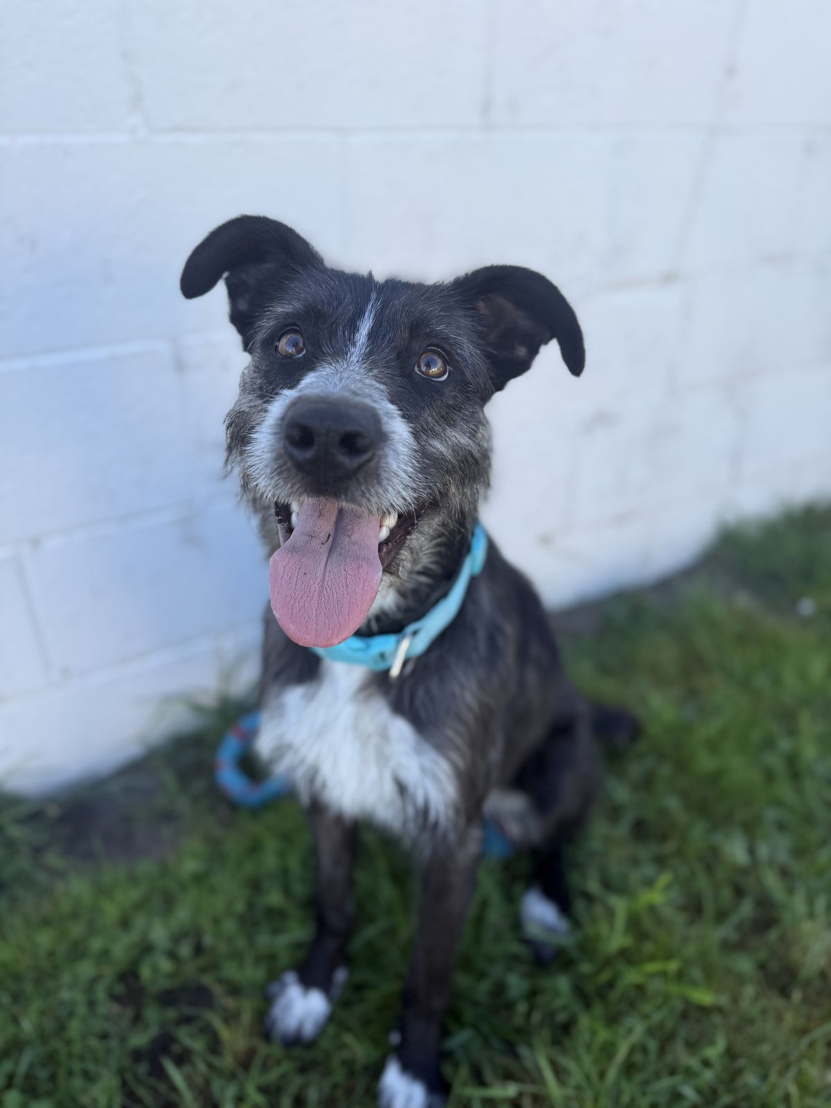 Gallery image: Kylie