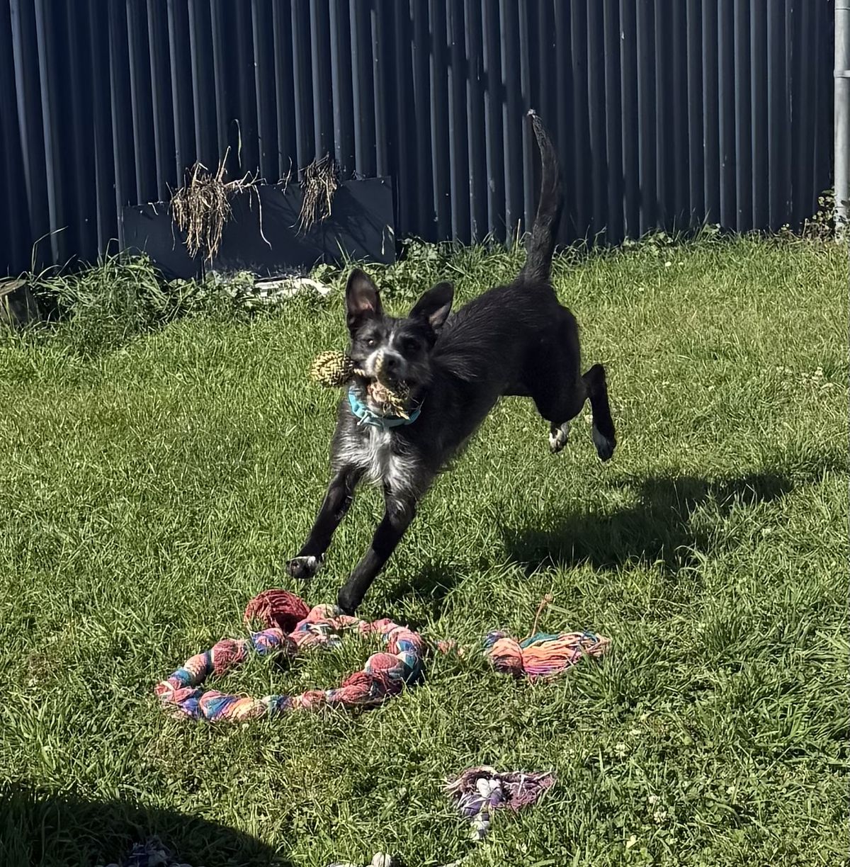 Gallery image: Kylie