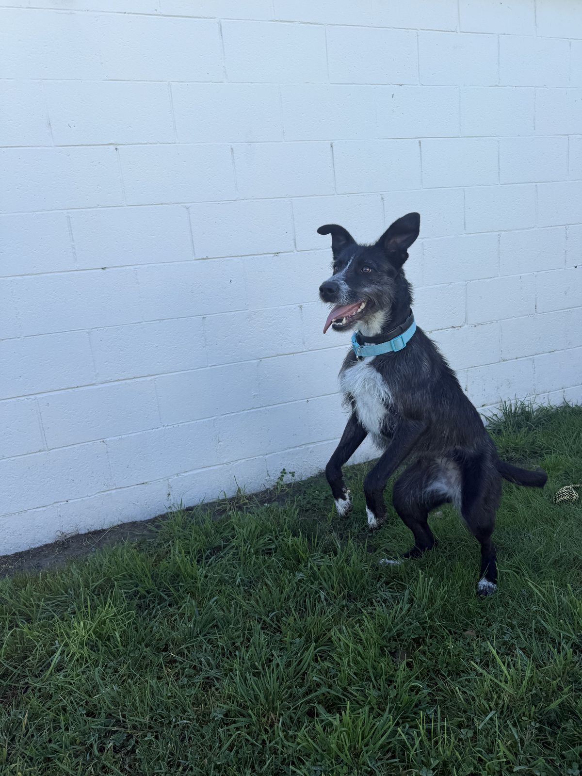 Gallery image: Kylie