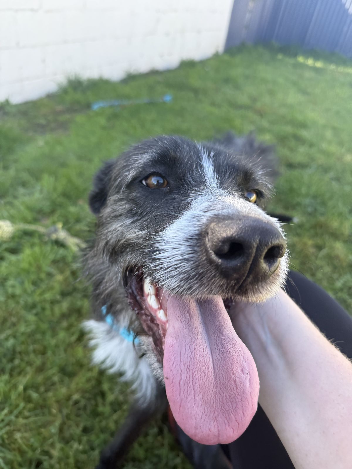 Gallery image: Kylie