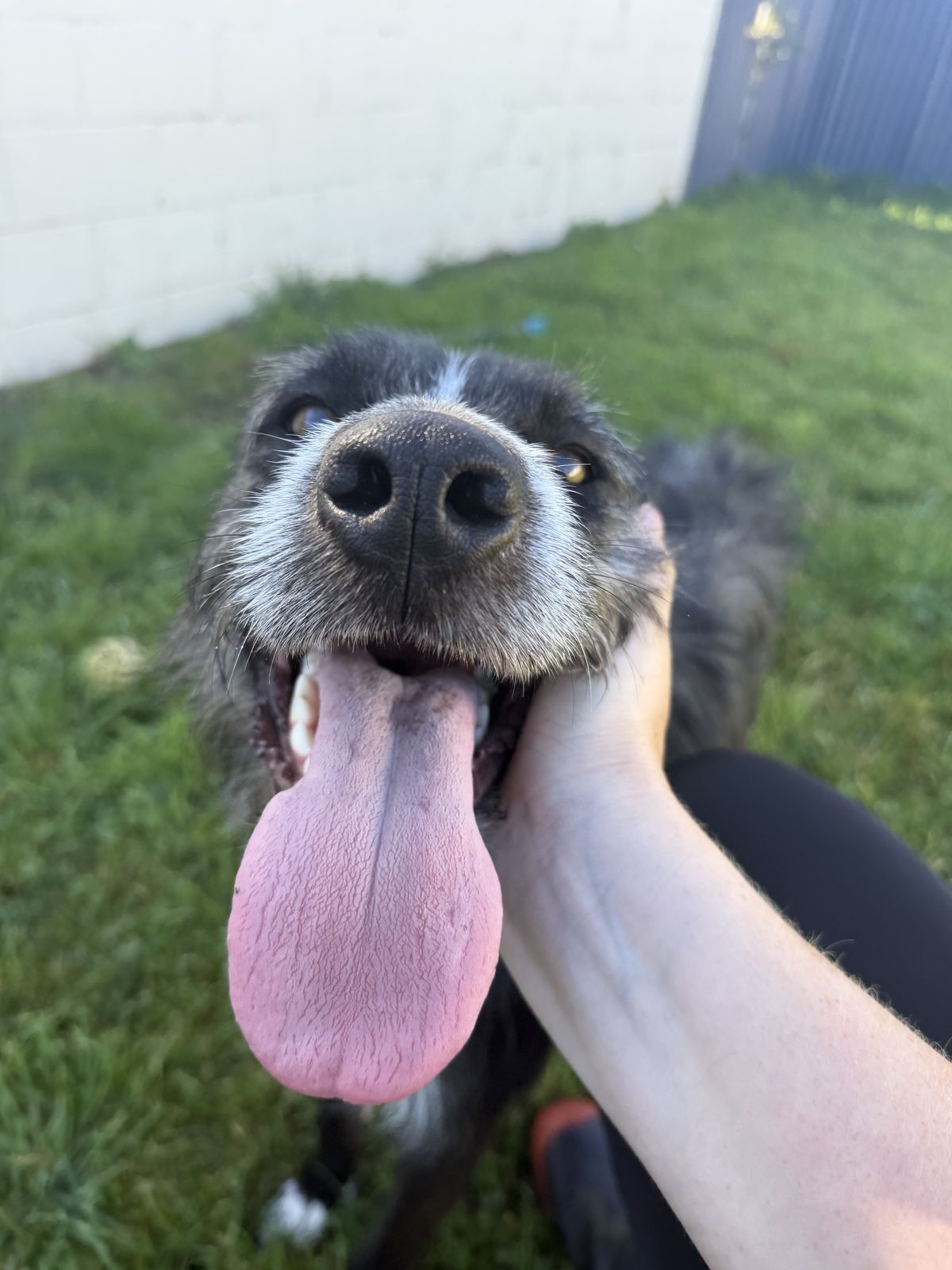 Gallery image: Kylie