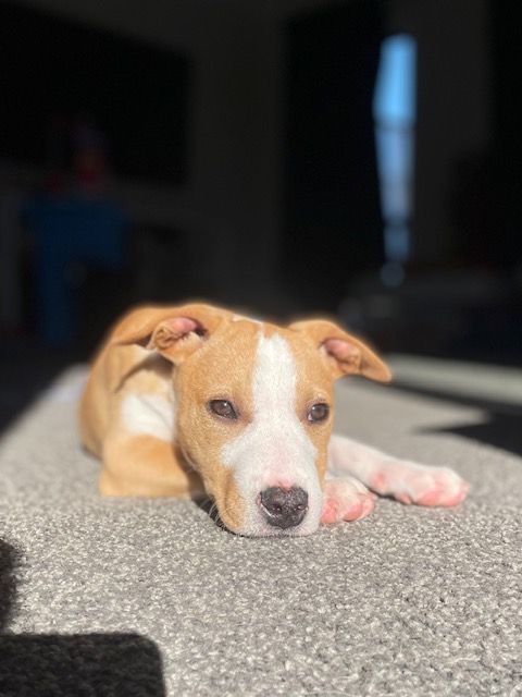 Gallery image: Marley