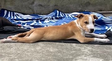 Gallery image: Marley