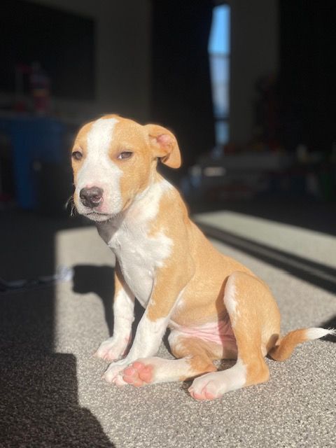 Gallery image: Marley