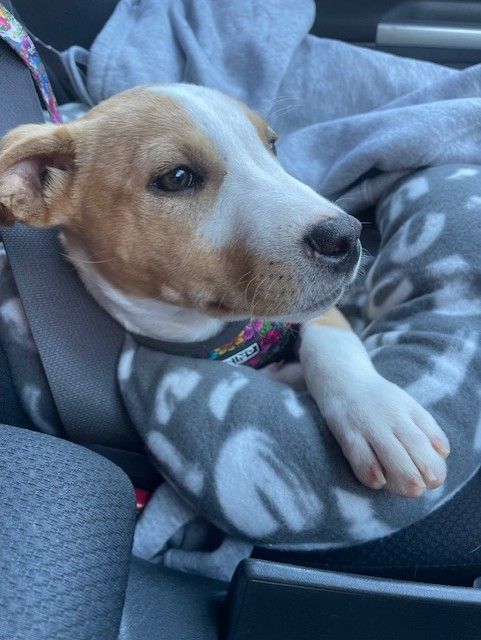 Gallery image: Marley