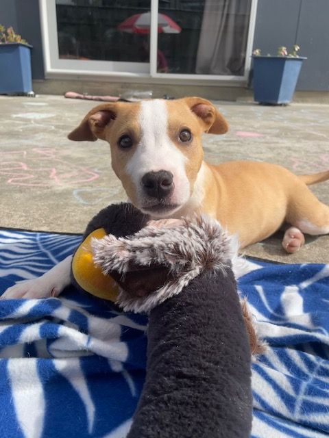 Gallery image: Marley