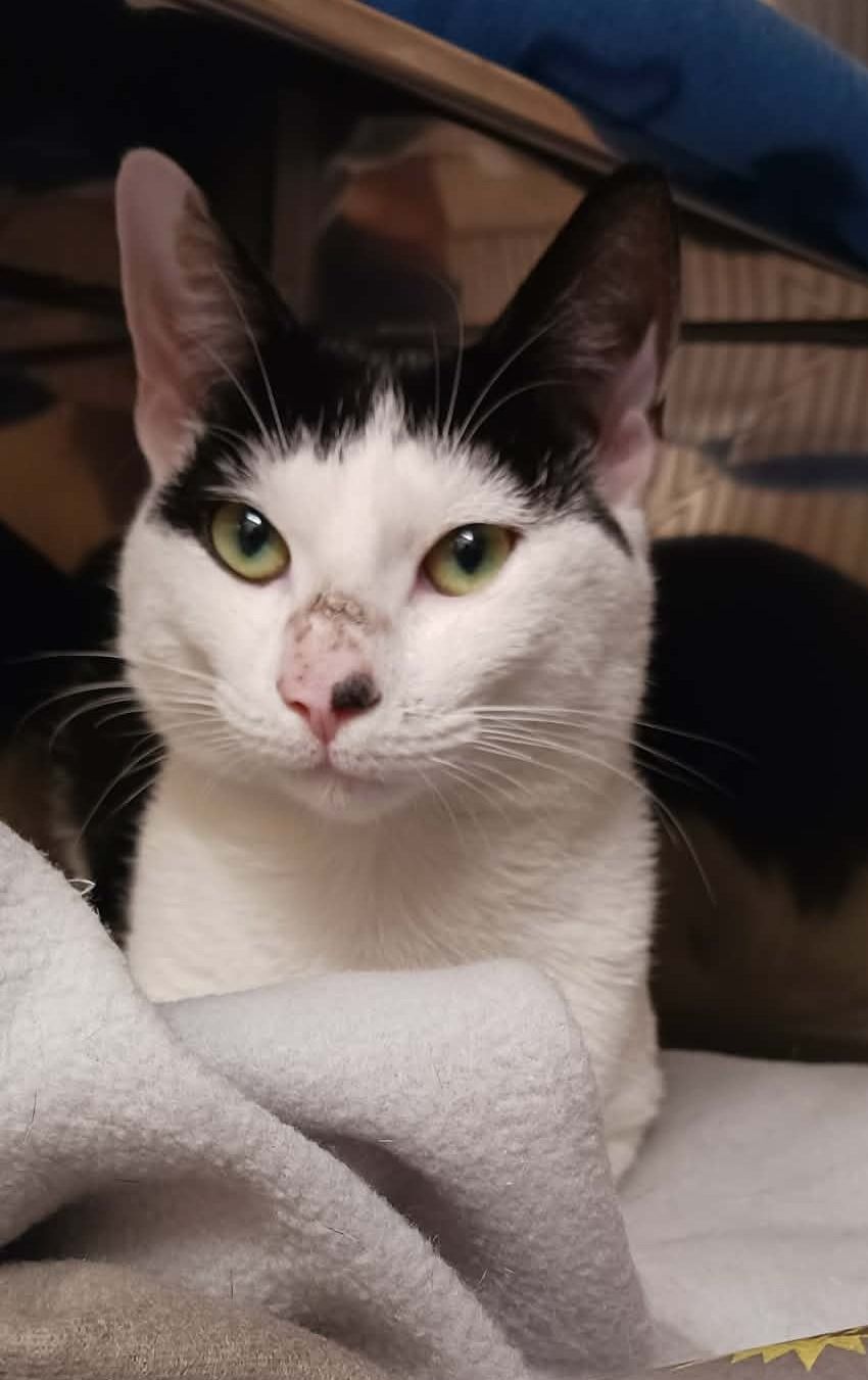 Gallery image: Frank