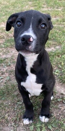 Gallery image: Bobbi