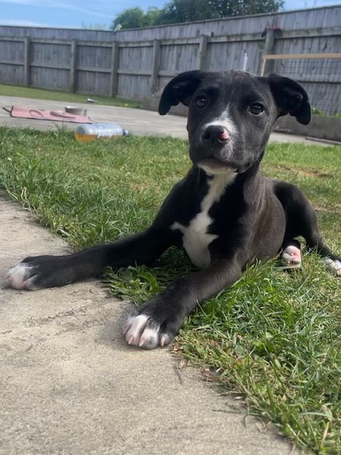 Gallery image: Bobbi