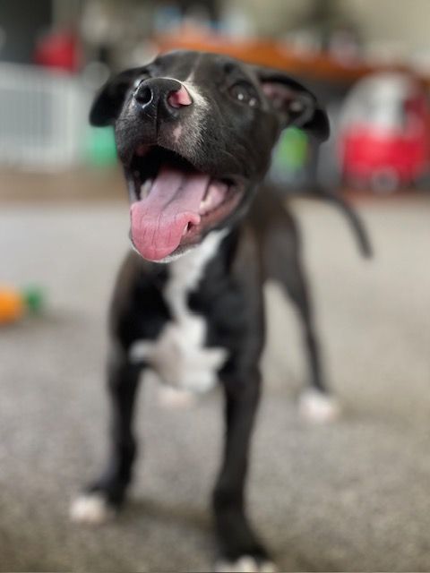 Gallery image: Bobbi