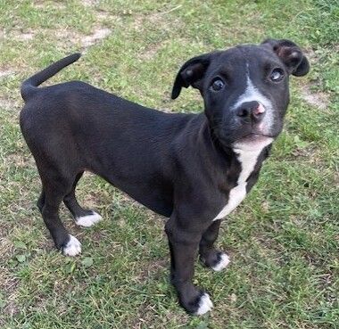 Gallery image: Bobbi