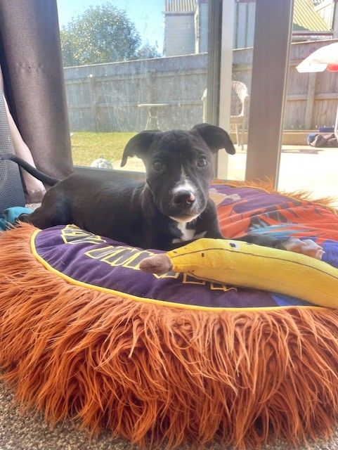 Gallery image: Bobbi