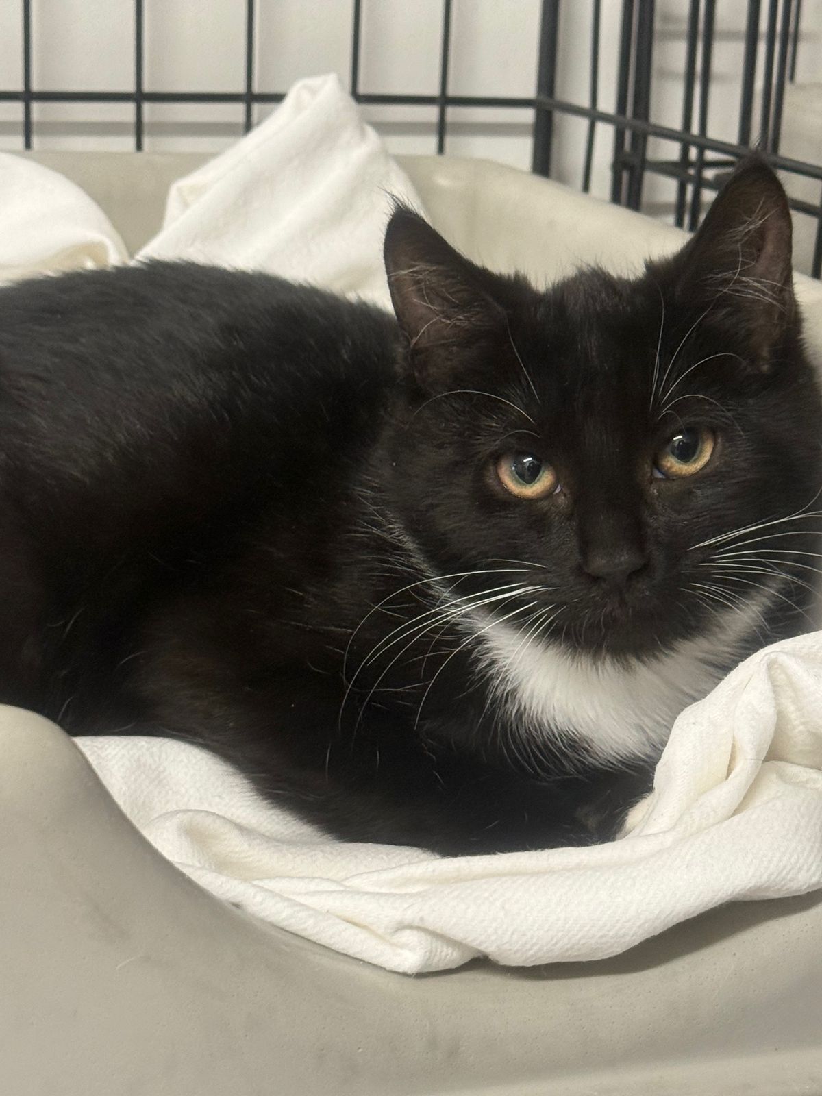 Gallery image: Candy