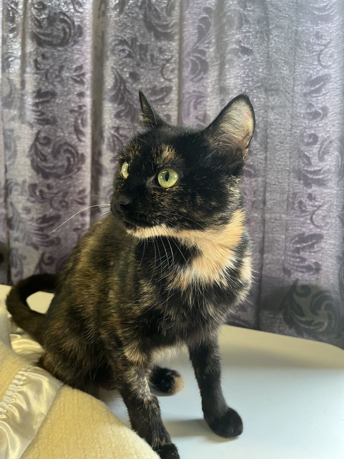 Gallery image: Nuggy