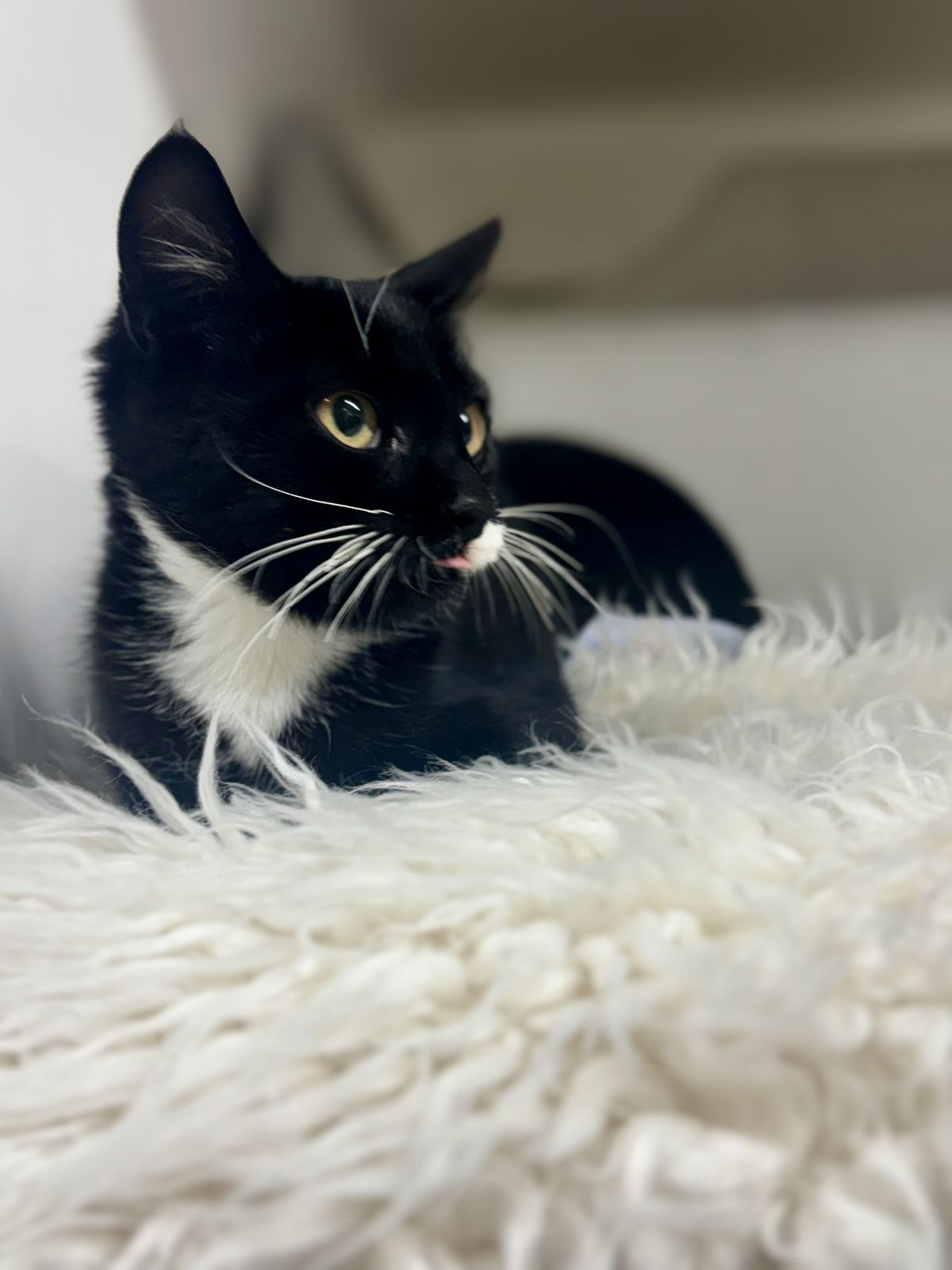 Gallery image: Abbie