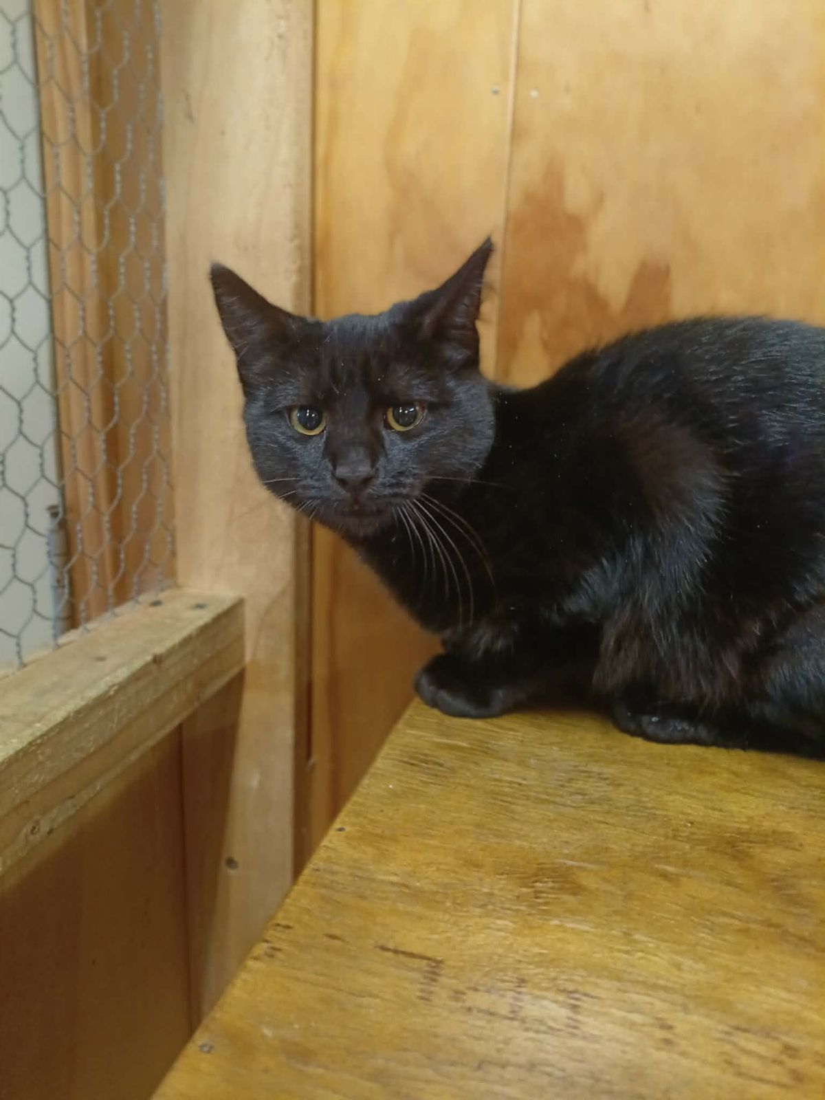 Gallery image: Prickle