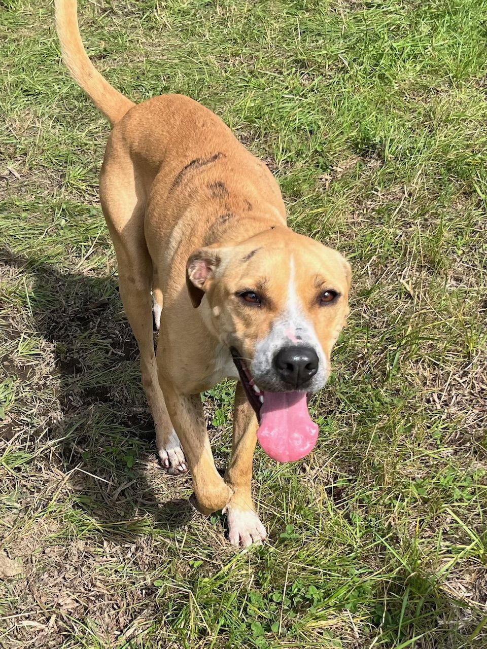 Gallery image: Amera