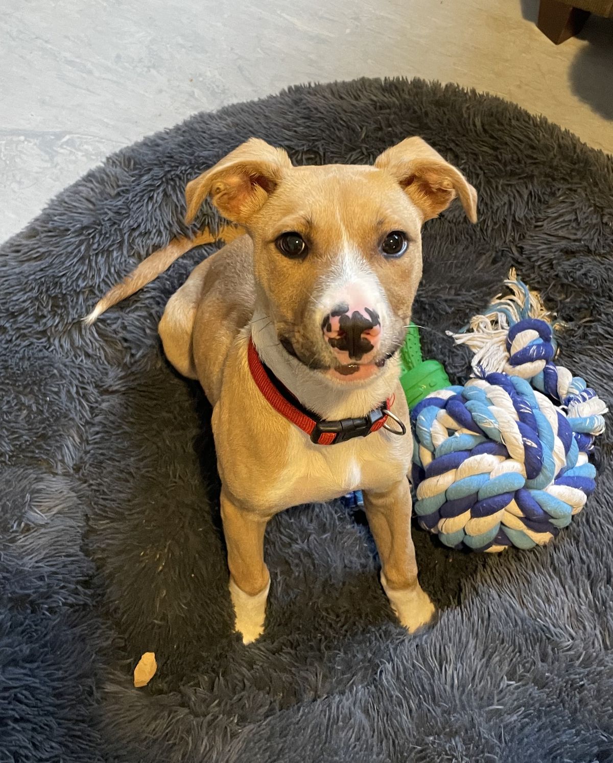 Gallery image: Sandy