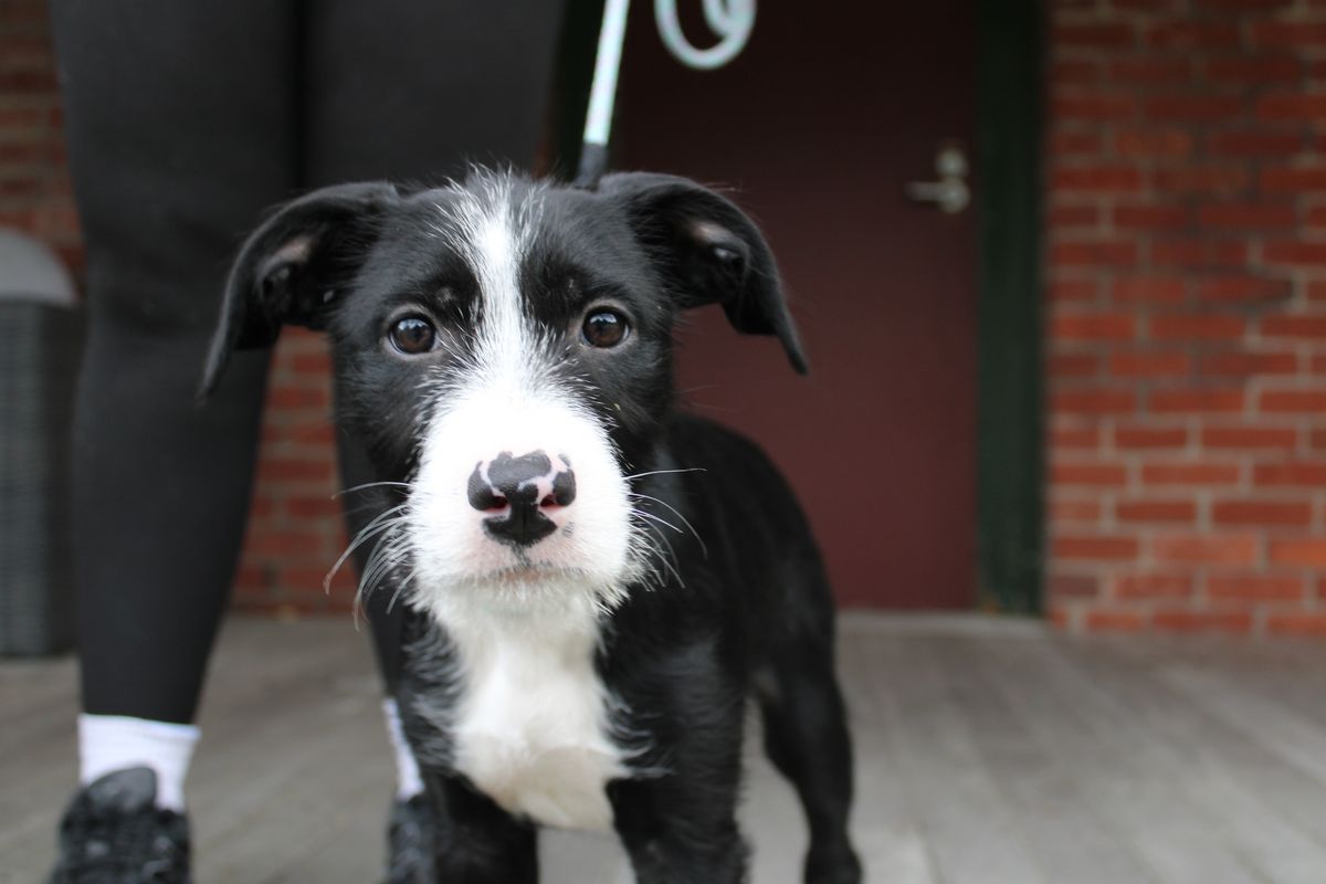 Gallery image: Marceline