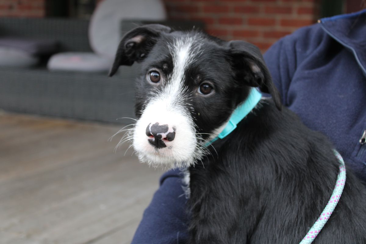 Gallery image: Marceline