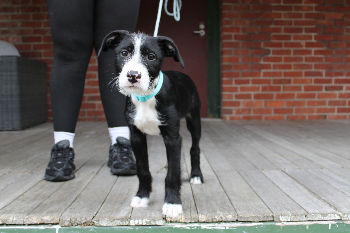 Gallery image: Marceline