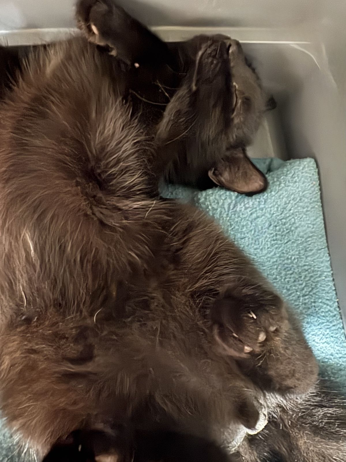 Gallery image: River