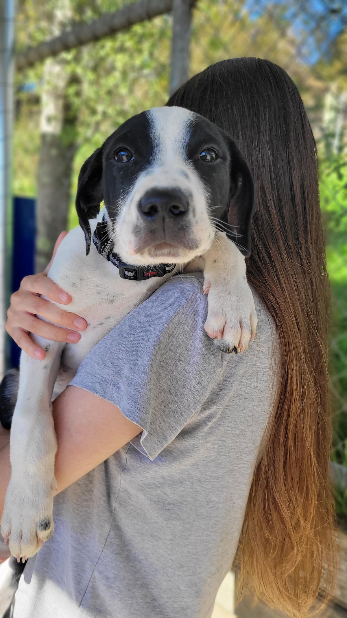 Gallery image: Denver