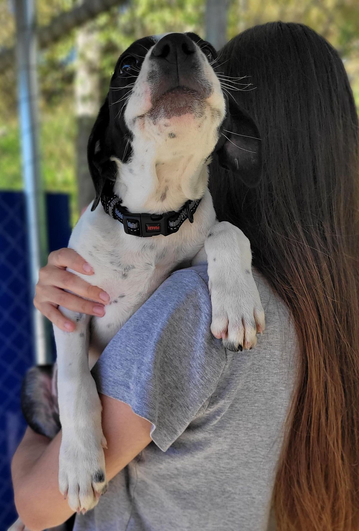 Gallery image: Denver