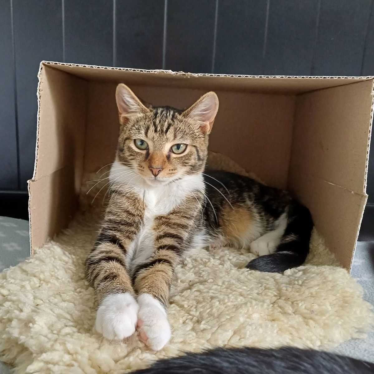 Gallery image: Bibby 