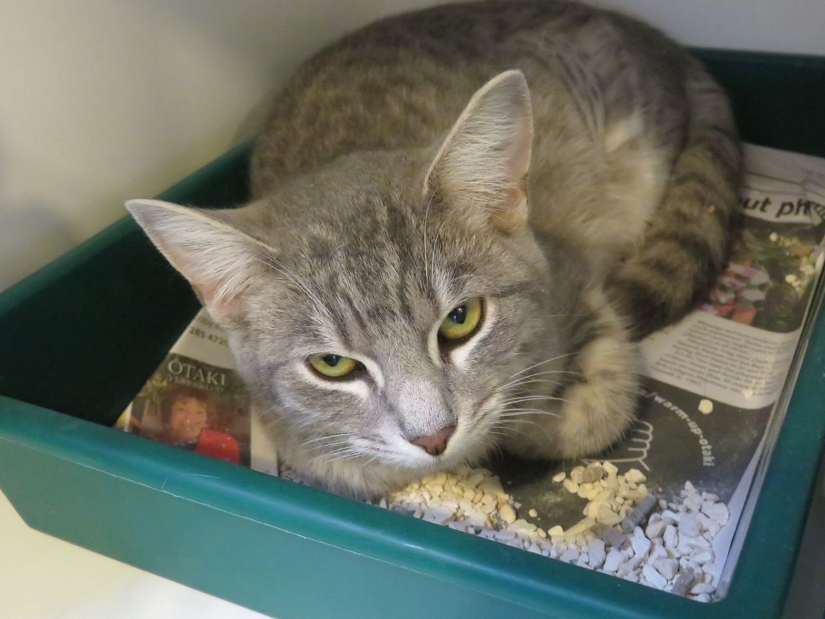 Gallery image: Bounty