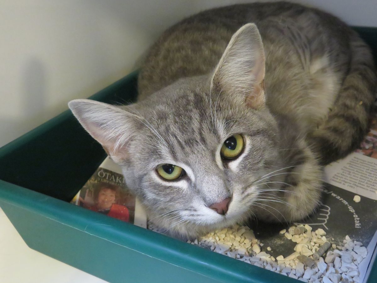 Gallery image: Bounty