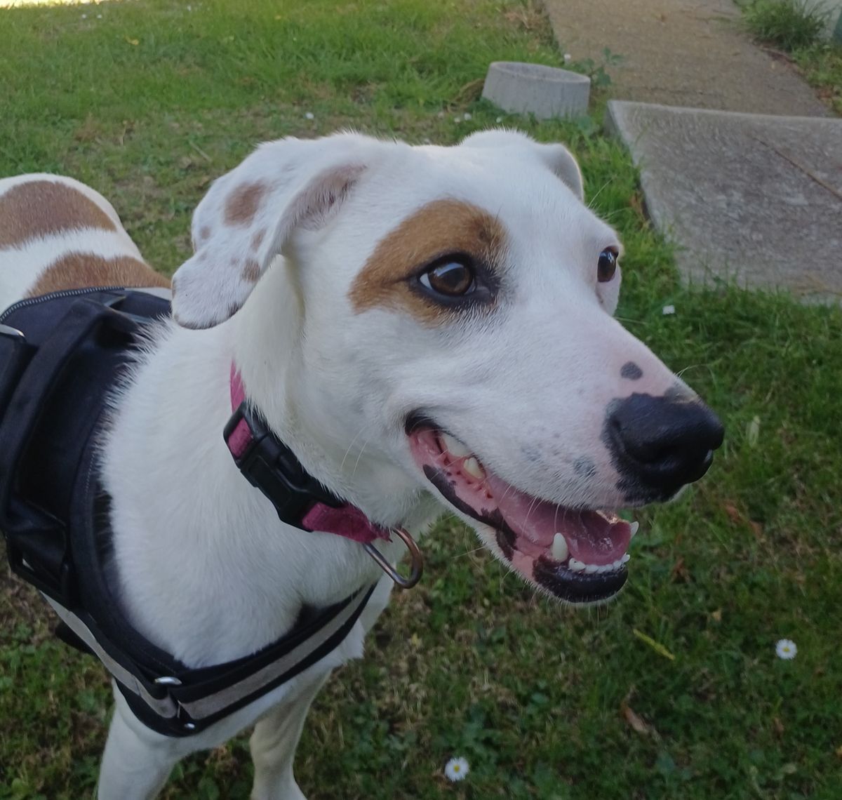 Gallery image: Skylar