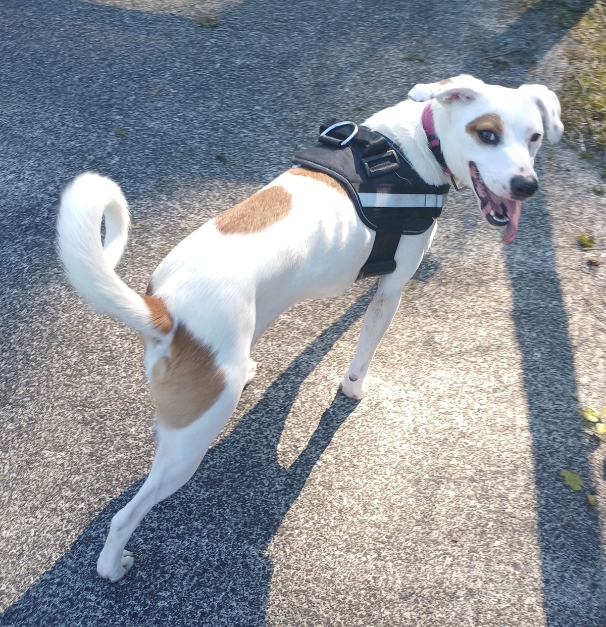 Gallery image: Skylar