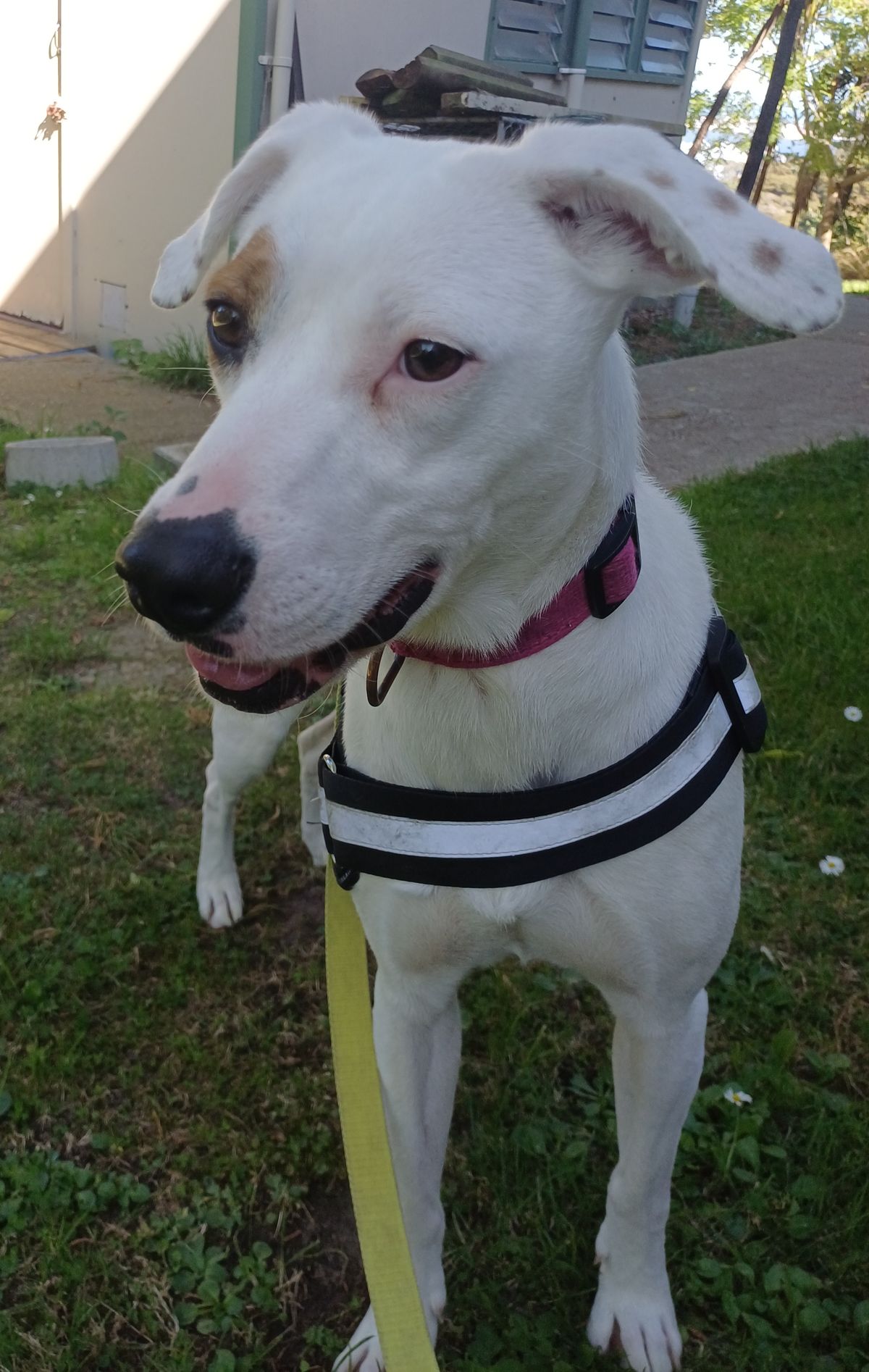 Gallery image: Skylar