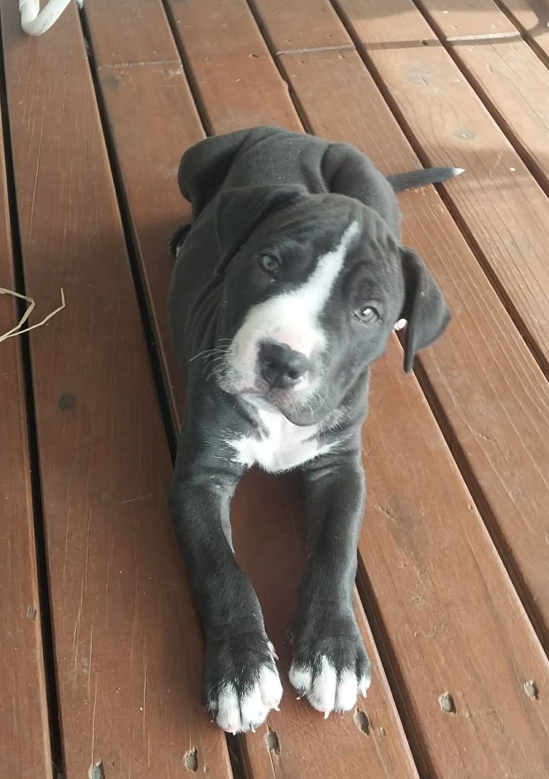 Gallery image: Mateo