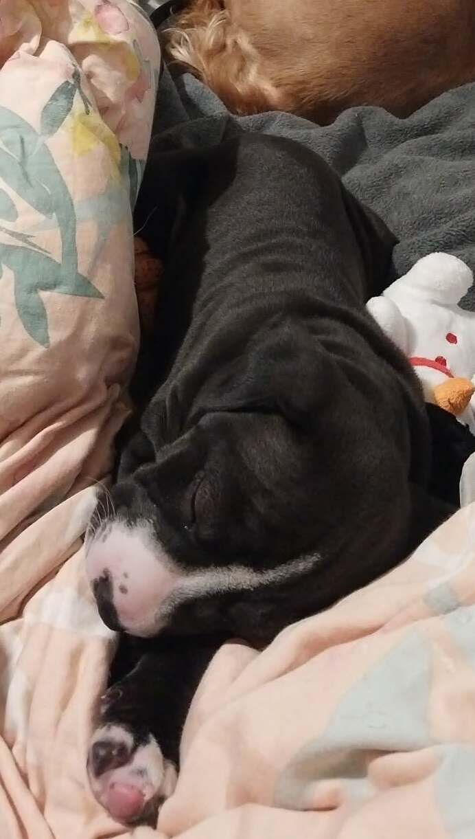 Gallery image: Mateo