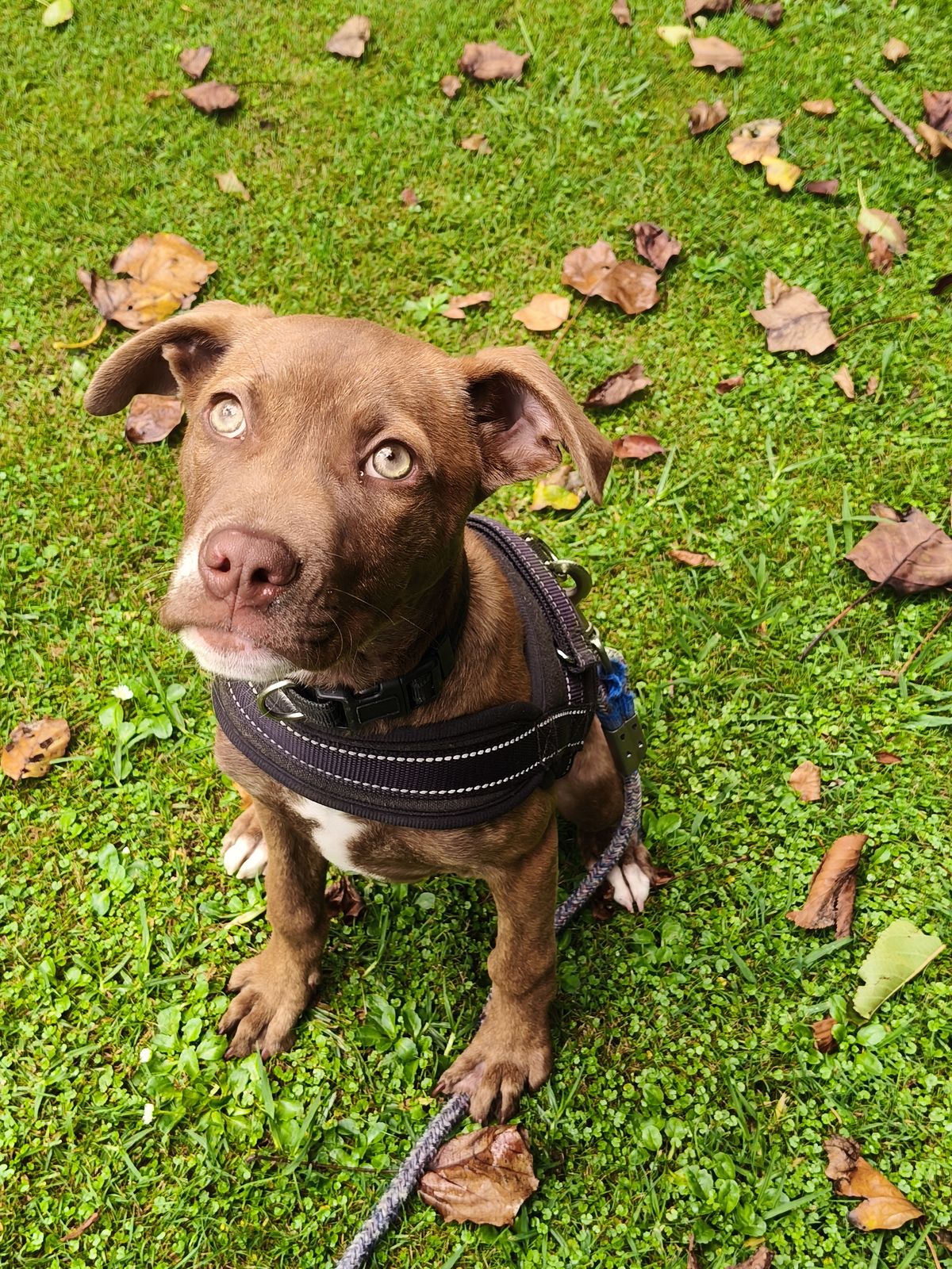 Gallery image: Chanel