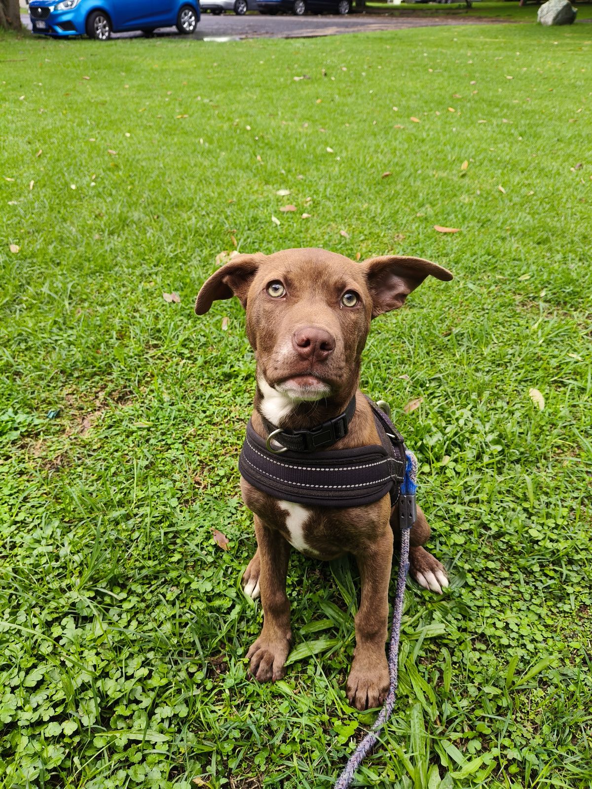 Gallery image: Chanel