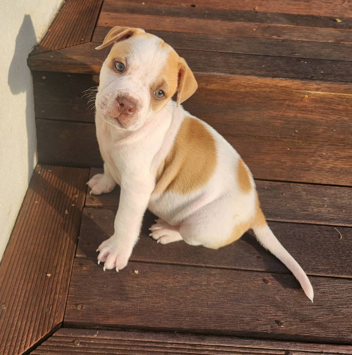 Gallery image: Selena 