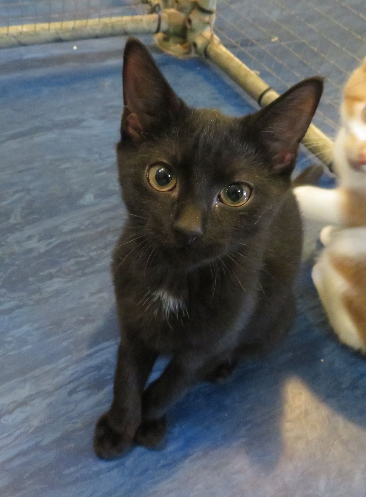 Gallery image: Wendy