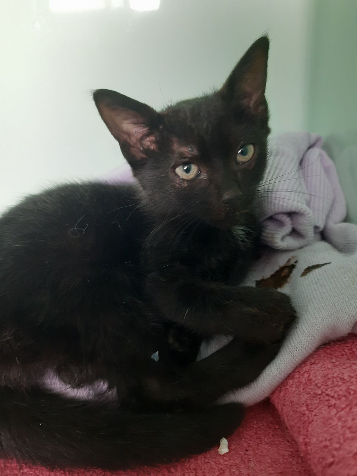 Gallery image: Wendy